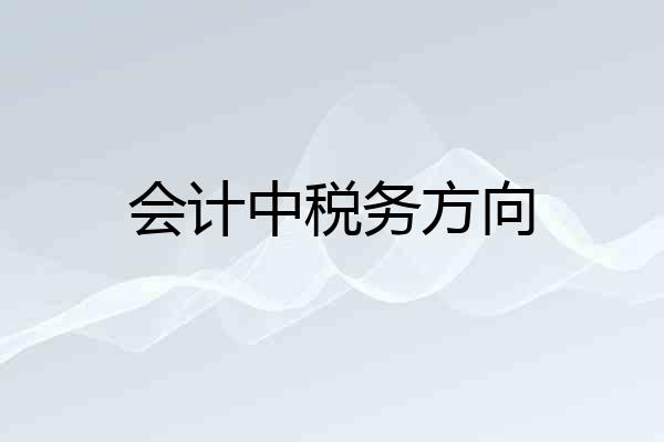 会计中税务方向