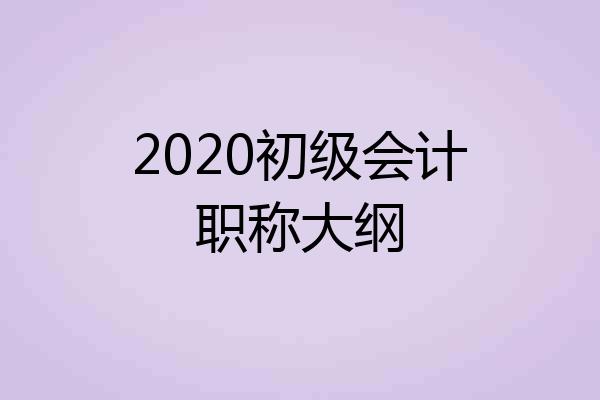2020初级会计职称大纲