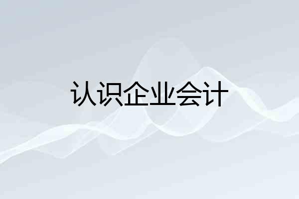 认识企业会计