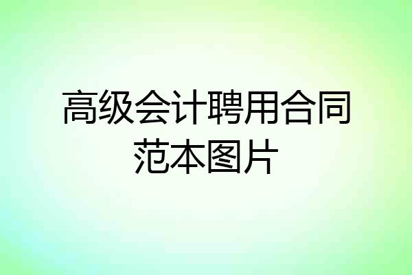 高级会计聘用合同范本图片
