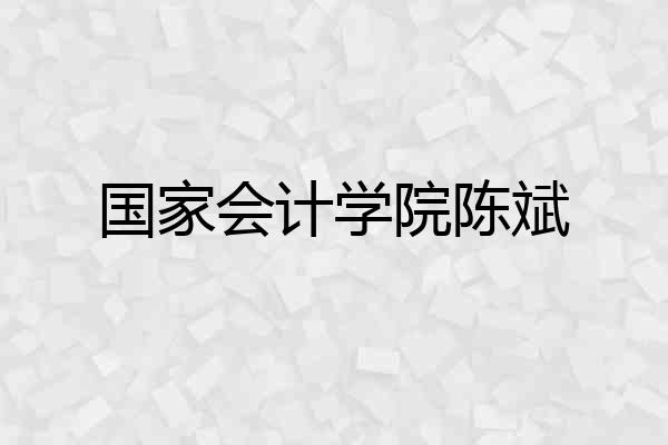 国家会计学院陈斌