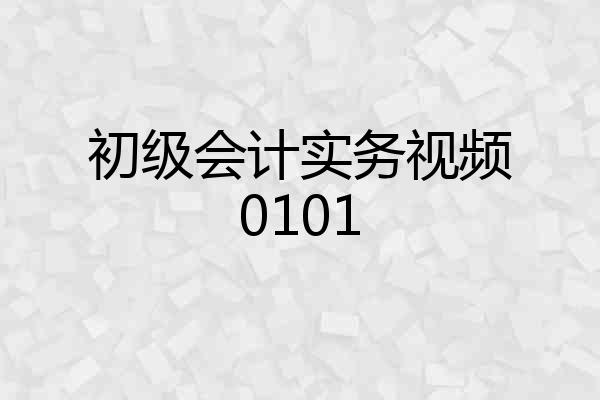 初级会计实务视频0101