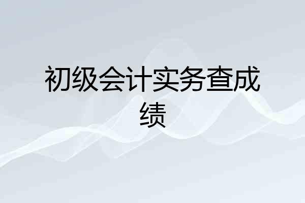 初级会计实务查成绩