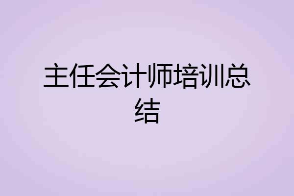 主任会计师培训总结