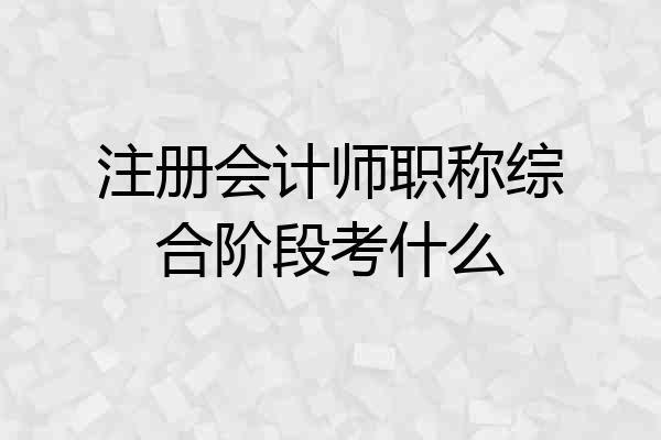注册会计师职称综合阶段考什么