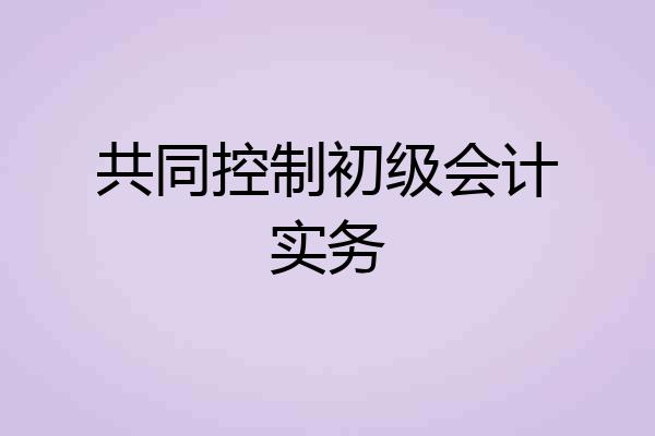 共同控制初级会计实务