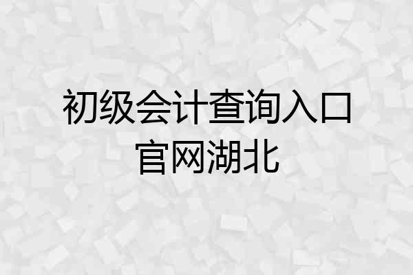 初级会计查询入口官网湖北