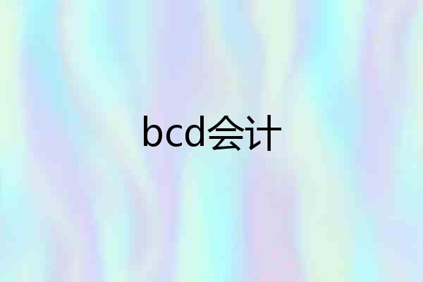 bcd会计