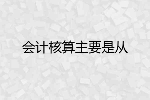会计核算主要是从