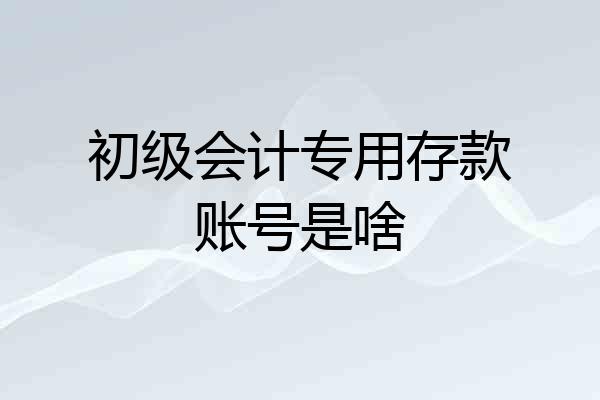 初级会计专用存款账号是啥