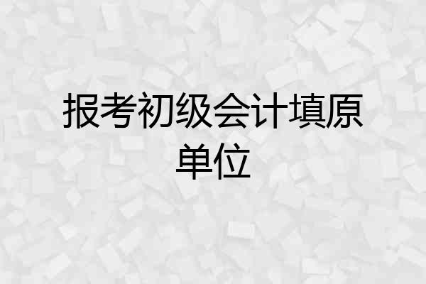 报考初级会计填原单位
