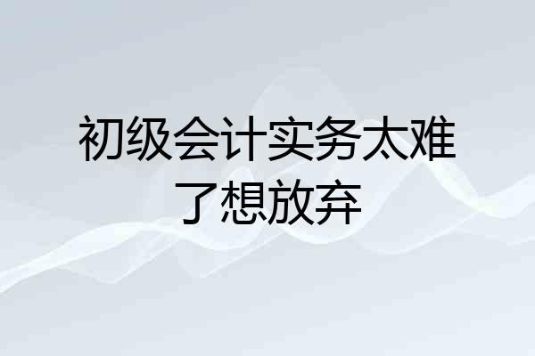 初级会计实务太难了想放弃