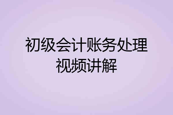 初级会计账务处理视频讲解
