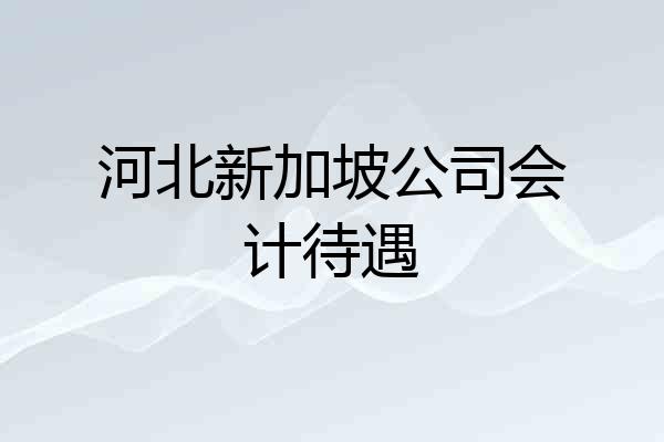 河北新加坡公司会计待遇