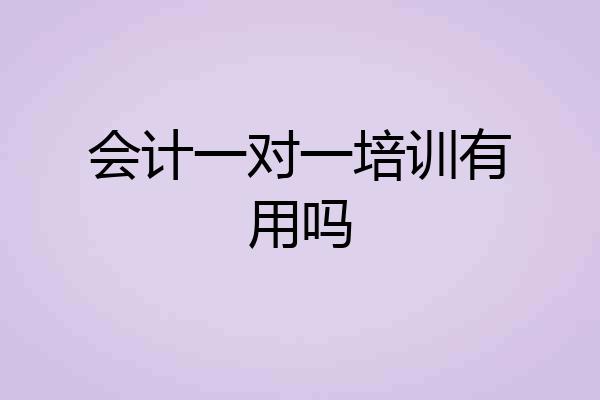 会计一对一培训有用吗