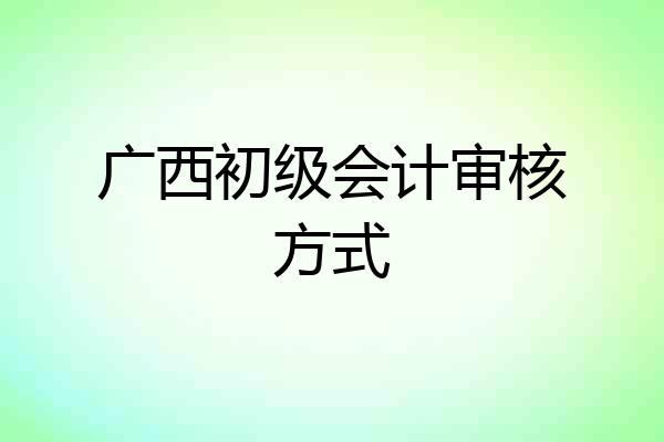 广西初级会计审核方式
