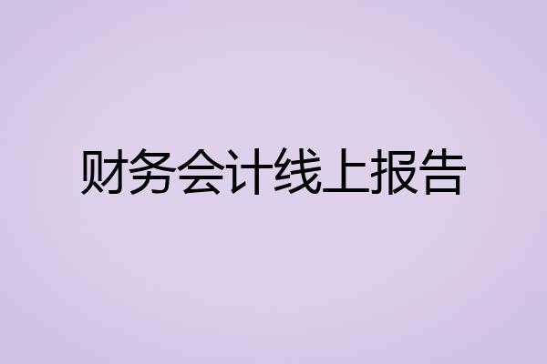 财务会计线上报告