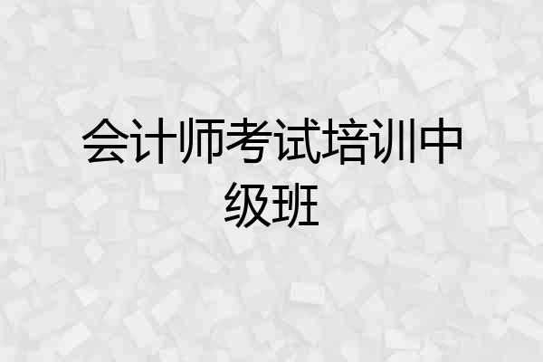 会计师考试培训中级班