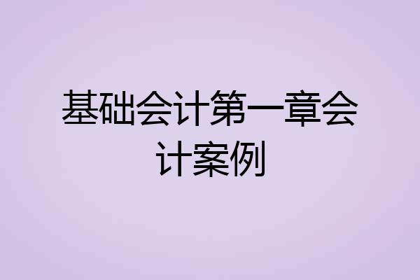 基础会计第一章会计案例