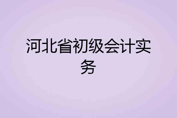 河北省初级会计实务