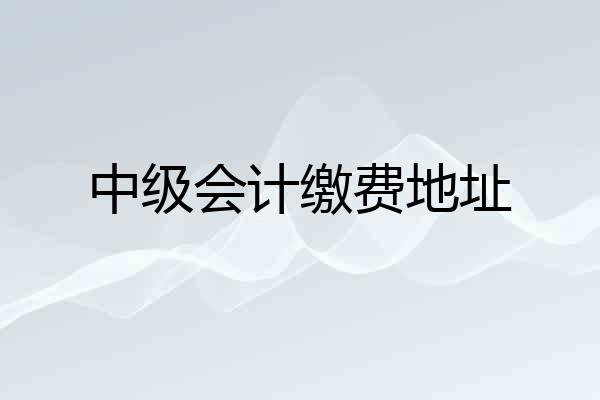 中级会计缴费地址