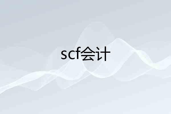 scf会计