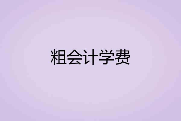 粗会计学费