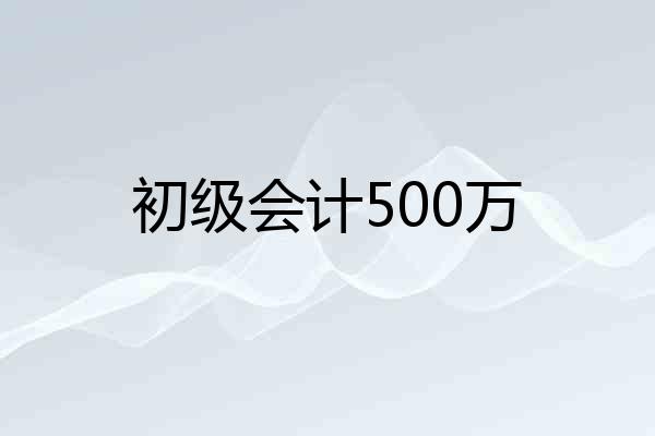 初级会计500万