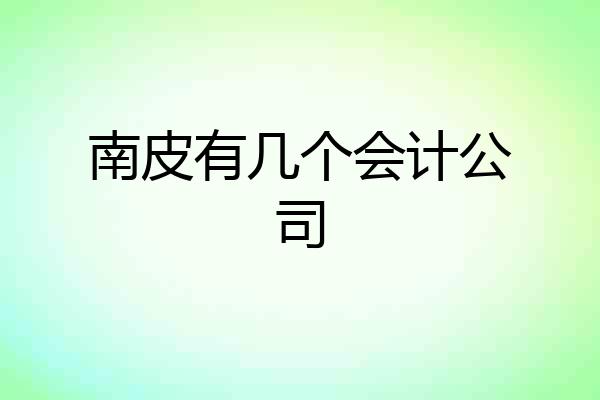 南皮有几个会计公司