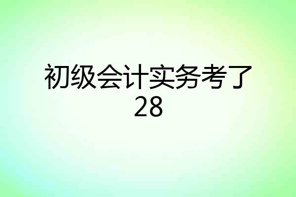 初级会计实务考了28