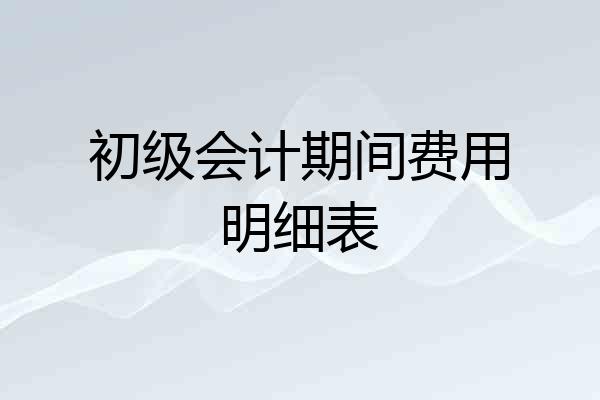 初级会计期间费用明细表