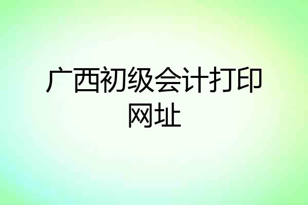 广西初级会计打印网址