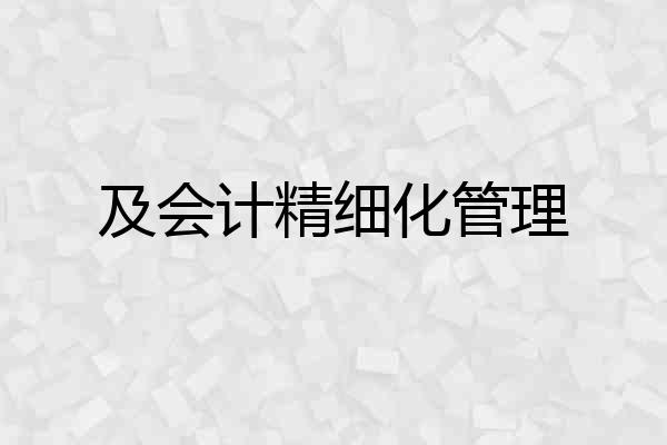 及会计精细化管理
