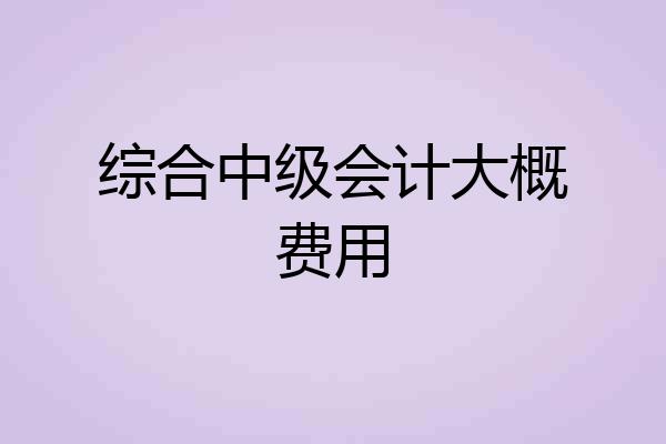 综合中级会计大概费用