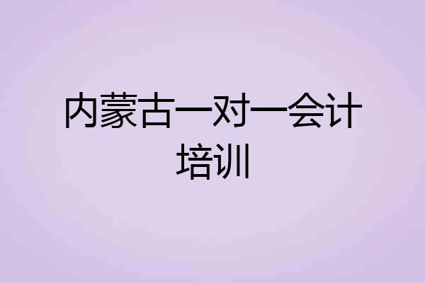 内蒙古一对一会计培训