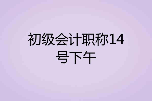 初级会计职称14号下午