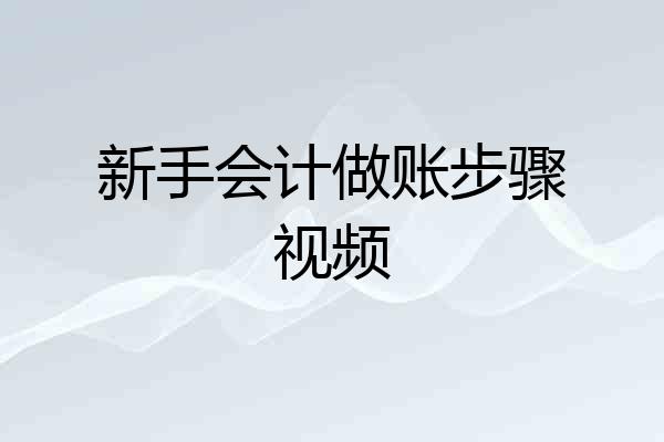 新手会计做账步骤视频