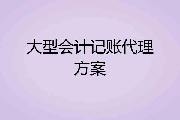 大型会计记账代理方案