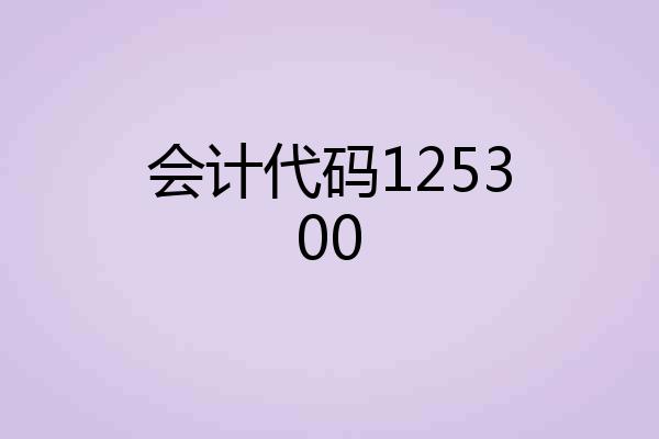 会计代码125300