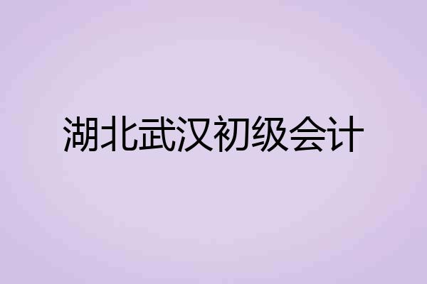 湖北武汉初级会计