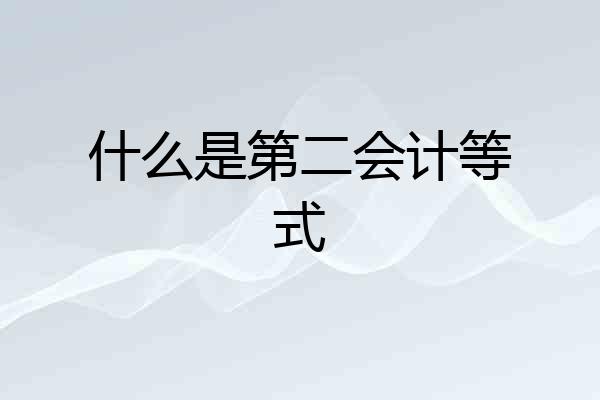 什么是第二会计等式