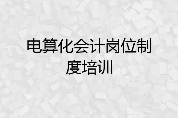 电算化会计岗位制度培训