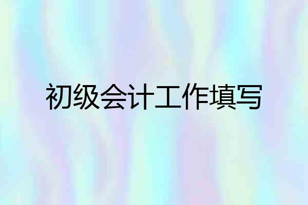 初级会计工作填写