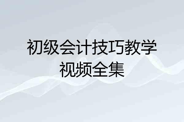 初级会计技巧教学视频全集