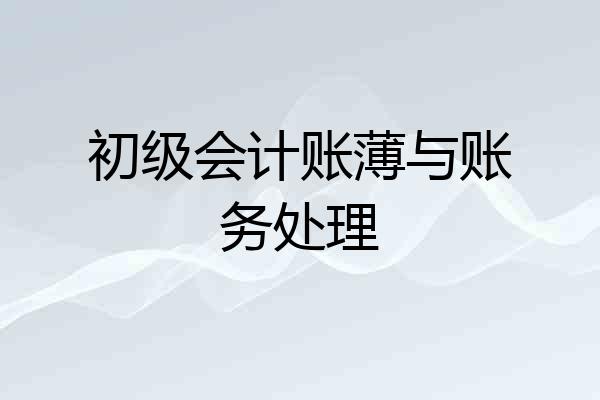 初级会计账薄与账务处理