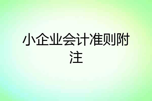 小企业会计准则附注
