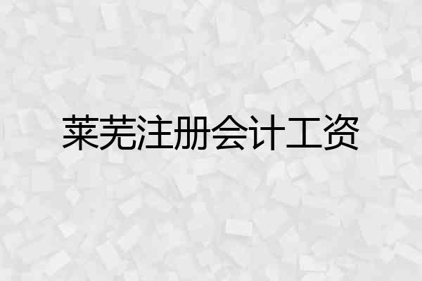 莱芜注册会计工资