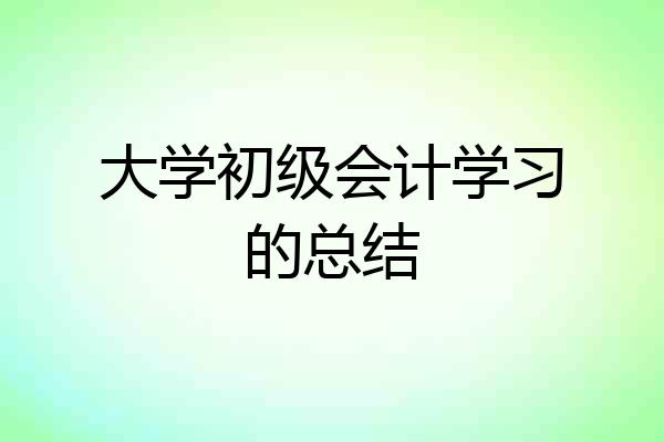 大学初级会计学习的总结