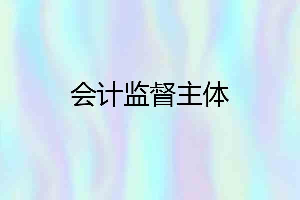 会计监督主体
