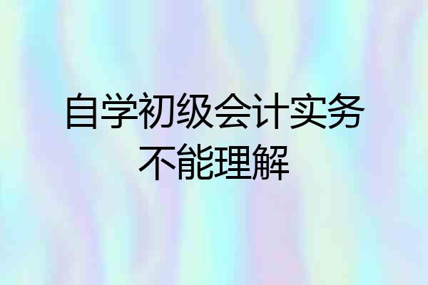 自学初级会计实务不能理解